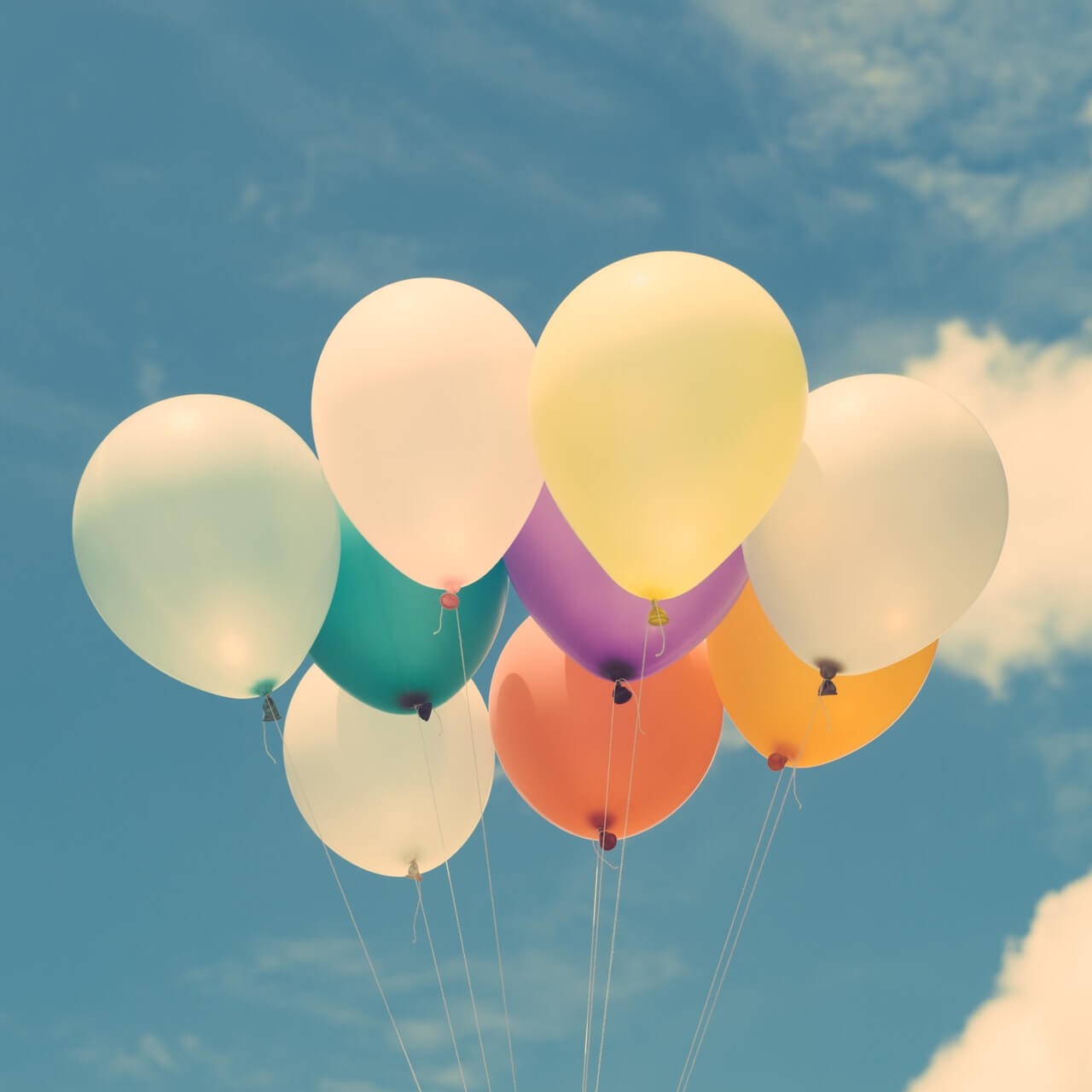 New Year…New You? New Year…New You?